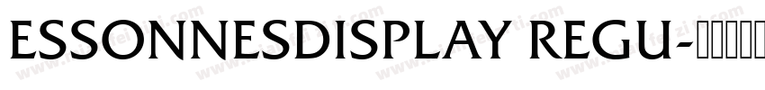 ESSONNESDISPLAY REGU字体转换